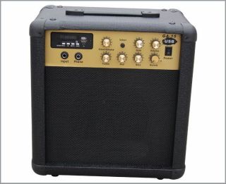 Guitar Amplifier Combo 15w with USB