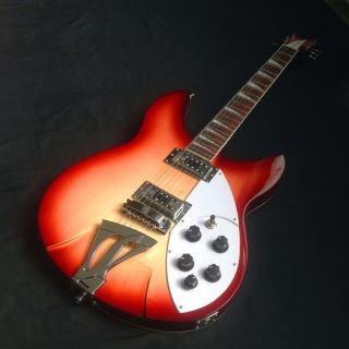 Rickenback Deep TS Special Electric Guitar