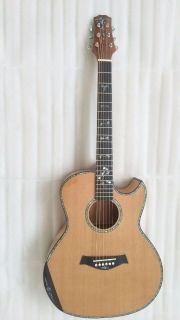 AAAA All Solid Cutaway Body Guitar
