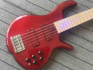 Custom 5 Strings Bass Guitar with Blue LEDS