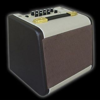 Acoustic Amp, 60W