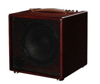 Acoustic Amp, 100W