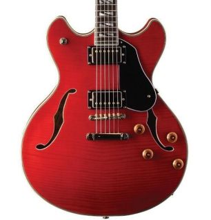 USM-HB35 Hollowbody Dual Humbucker
