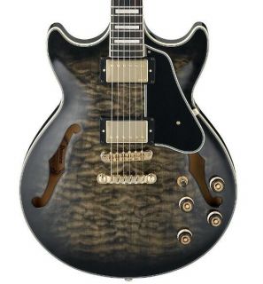 AM93 Artcore Expressionist Series Semi-Hollowbody